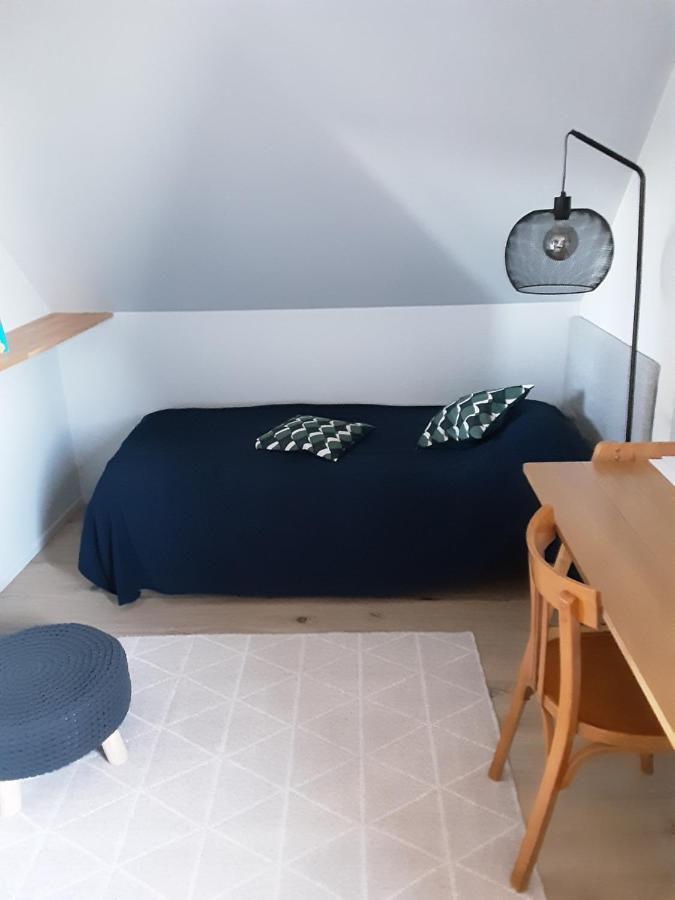 Charmant Appartement A 150 M Des Thermes Et Du Centre Ville トノン・レ・バン エクステリア 写真